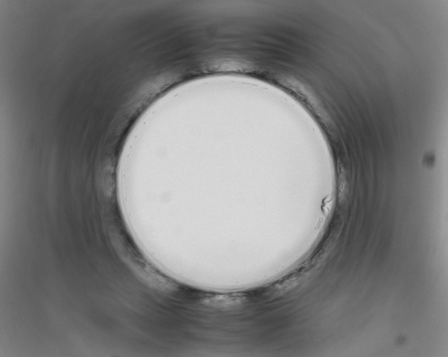 X0000116840447201001291708