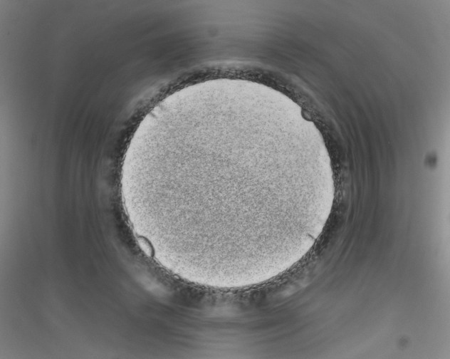 X0000116840448201001291708