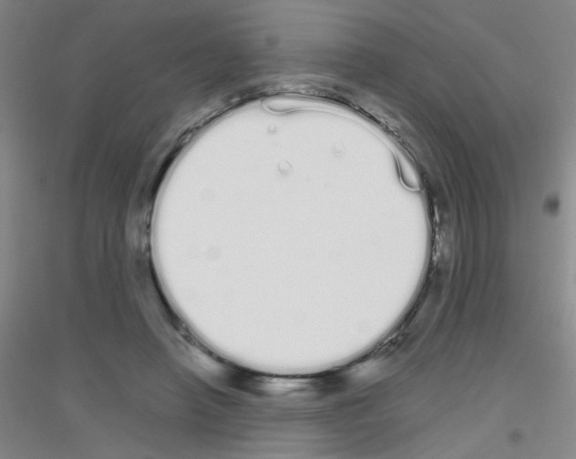 X0000116840450201001291708