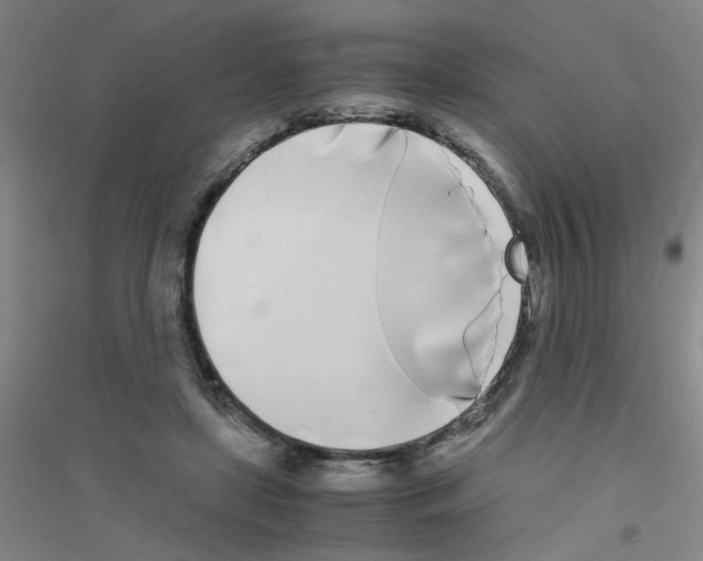 X0000116840451201001291708