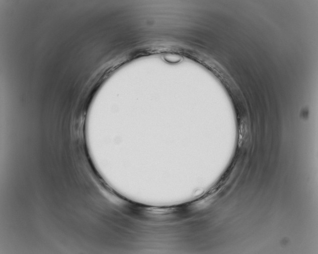 X0000116840454201001291708