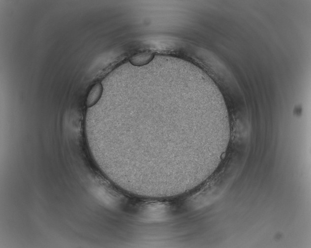 X0000116840456201001291708