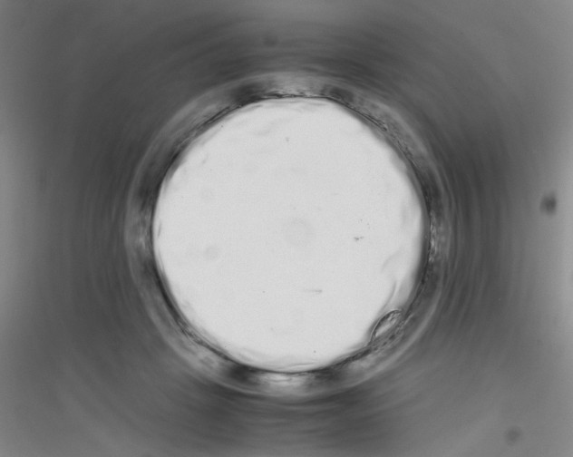 X0000116840457201001291708
