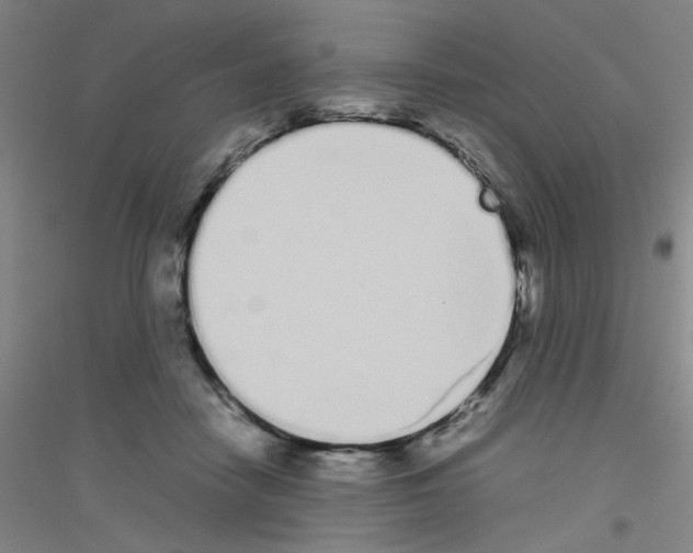 X0000116840458201001291708