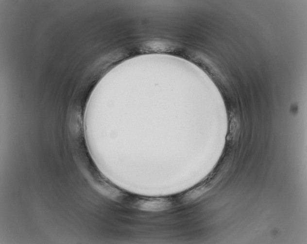 X0000116840459201001291708