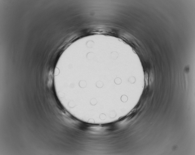 X0000116840460201001291708