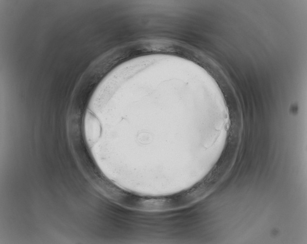 X0000116840461201001291708