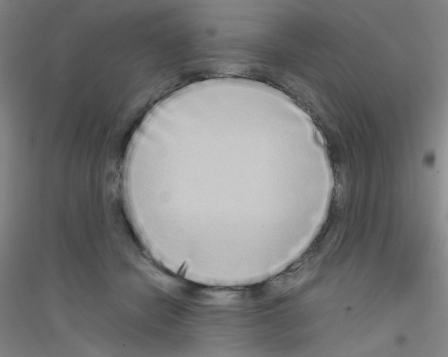 X0000116840462201001291708