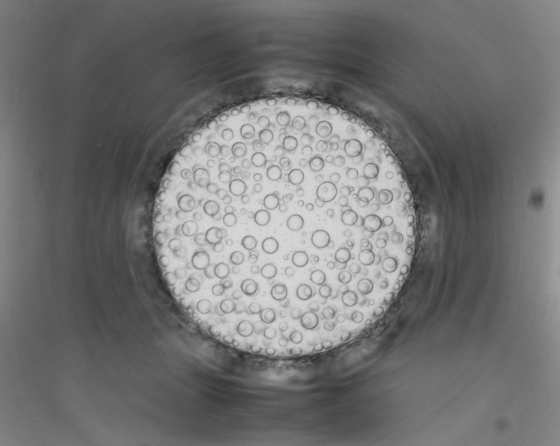 X0000116840463201001291708