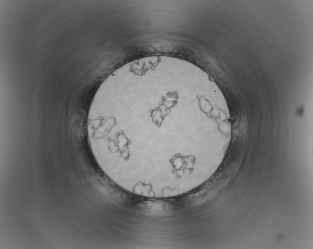 X0000116840464201001291708