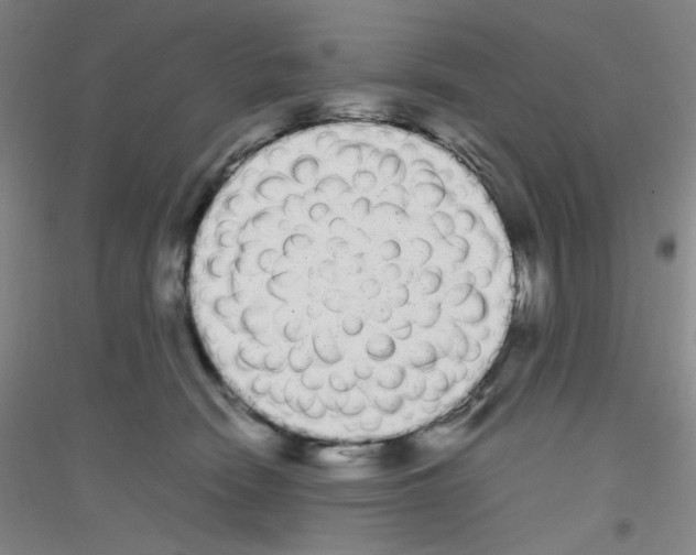 X0000116840466201001291708