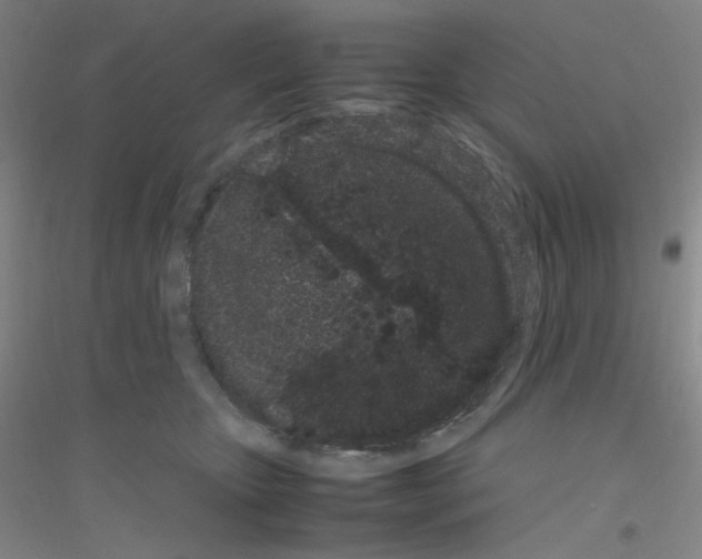X0000116840467201001291708