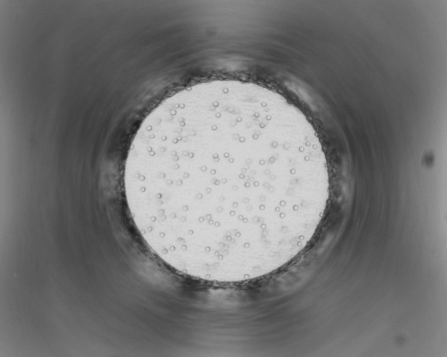 X0000116840468201001291708