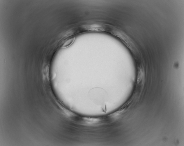 X0000116840469201001291708