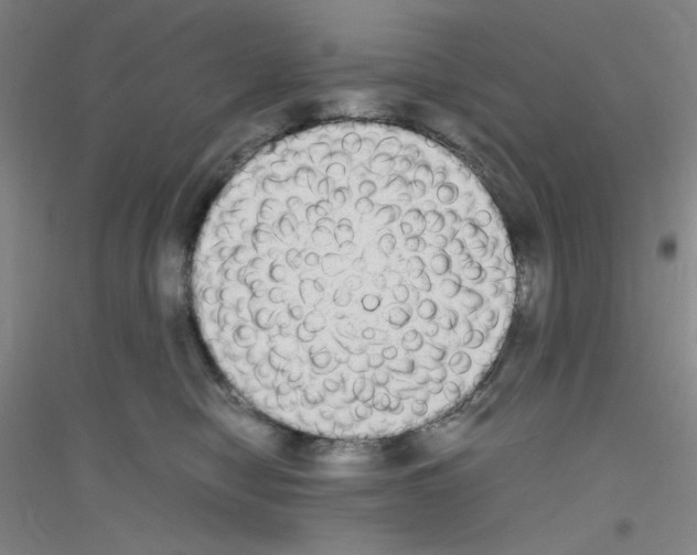 X0000116840470201001291708
