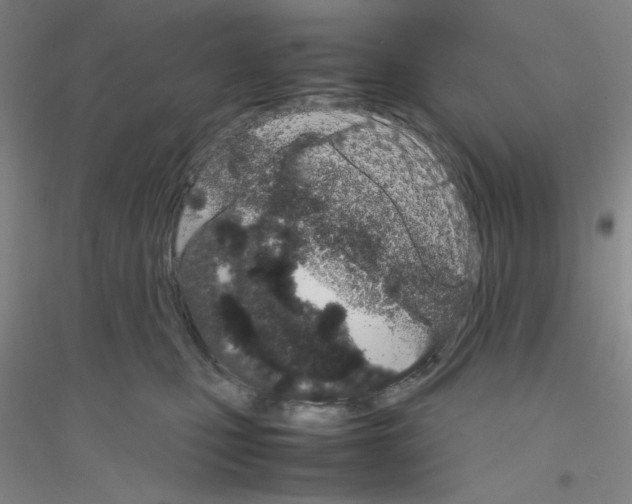 X0000116840471201001291708