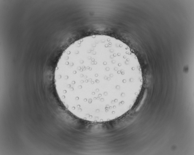 X0000116840472201001291708