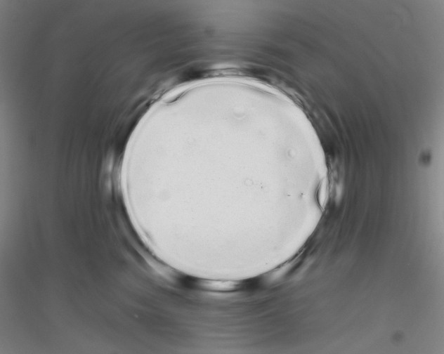 X0000116840474201001291708