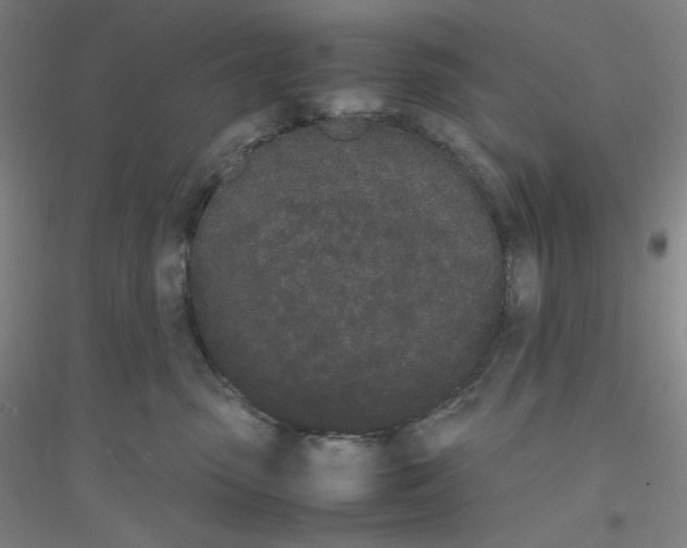 X0000116840475201001291708