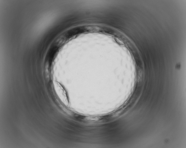 X0000116840477201001291708