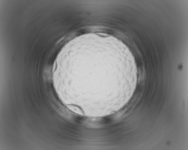 X0000116840478201001291708