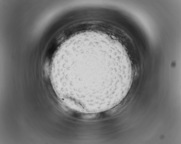 X0000116840479201001291708