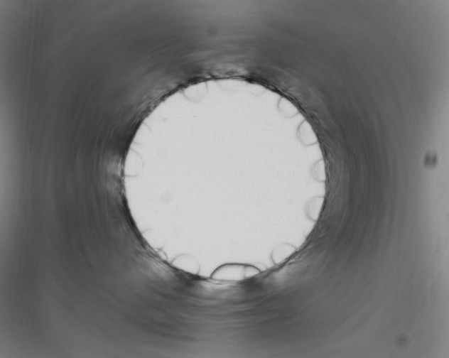 X0000116840480201001291708