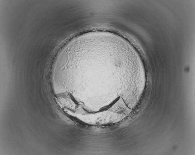 X0000116840481201001291708