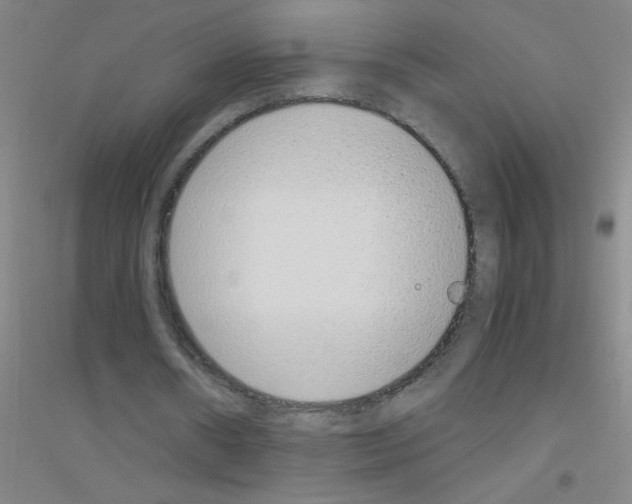 X0000116840482201001291708