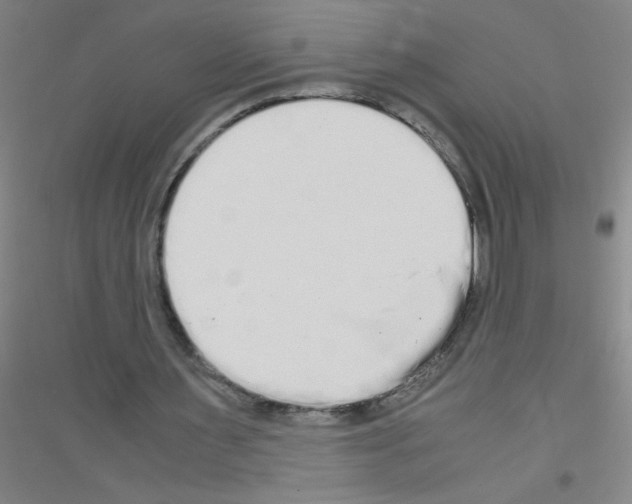 X0000116840483201001291708