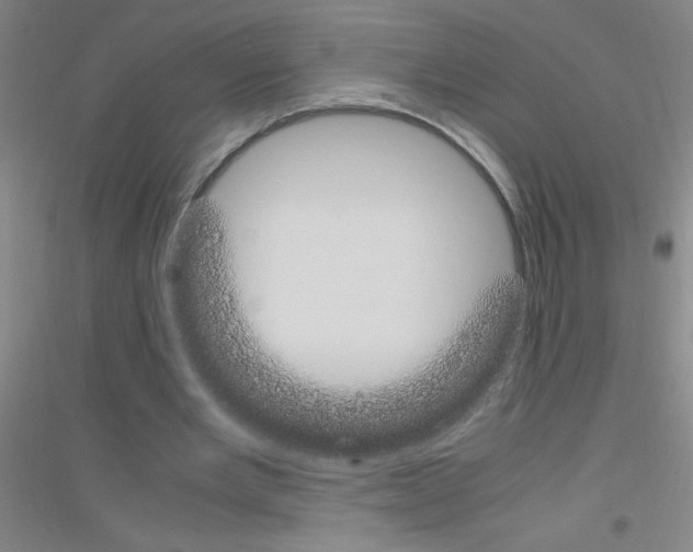 X0000116840485201001291708