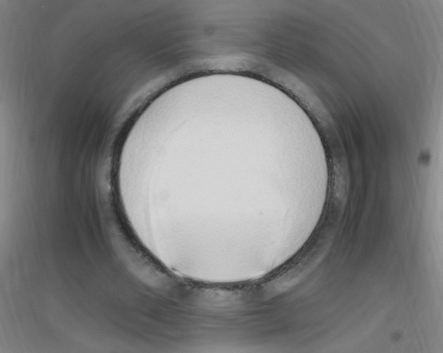 X0000116840486201001291707