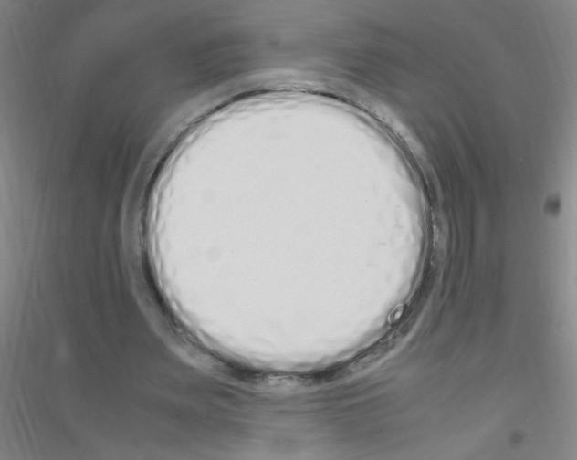X0000116840487201001291707