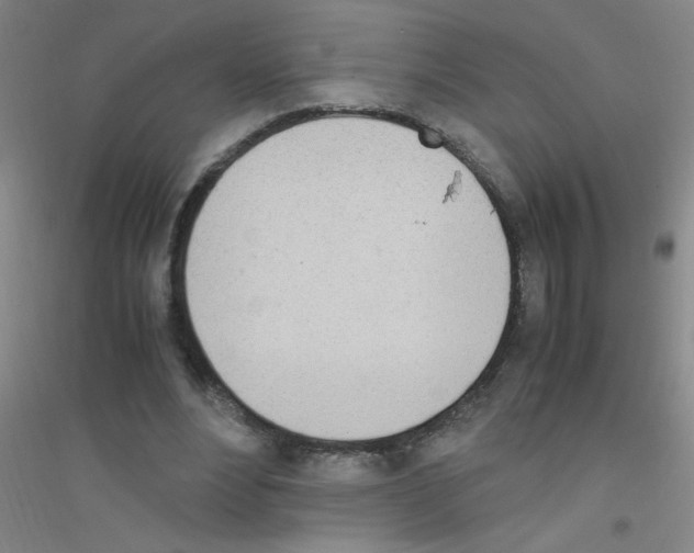 X0000116840488201001291707