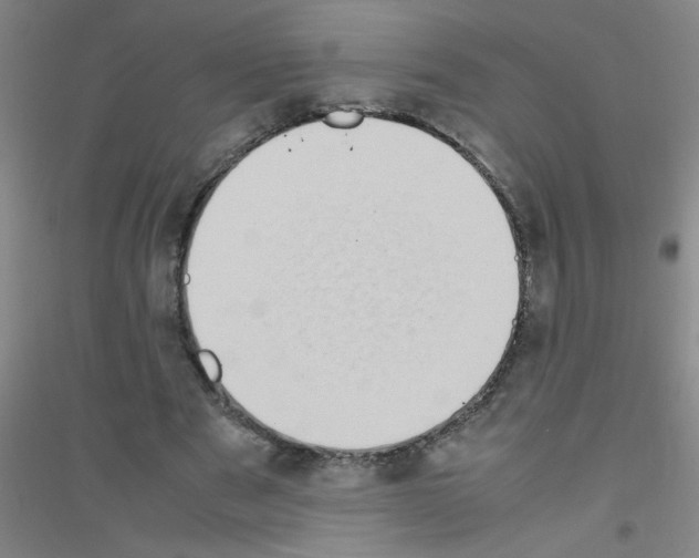 X0000116840489201001291707