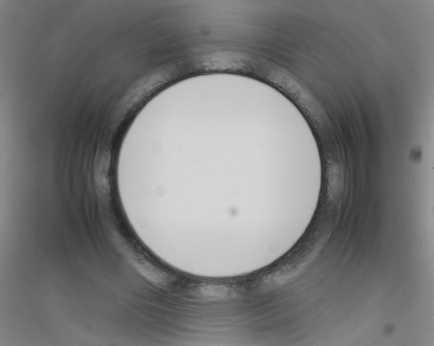 X0000116840490201001291707
