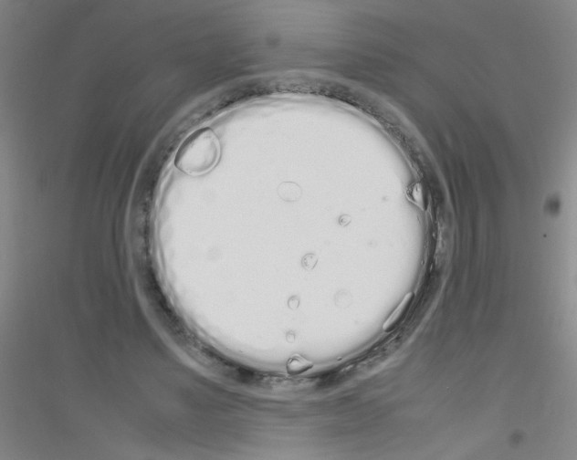 X0000116840491201001291707