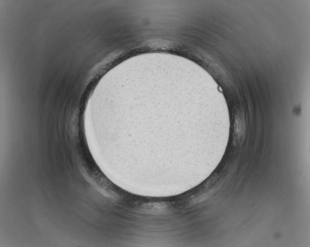 X0000116840492201001291707
