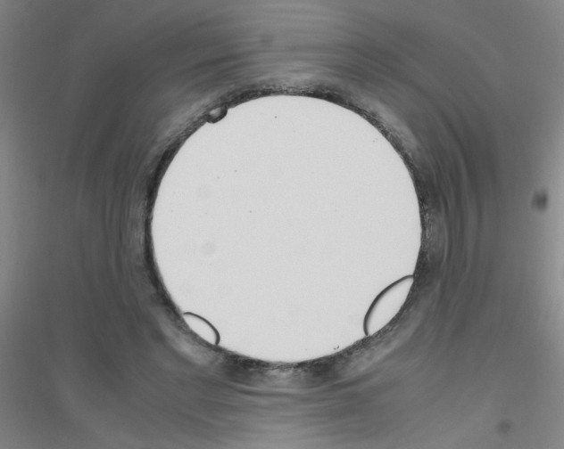 X0000116840493201001291707