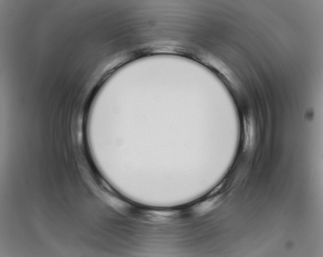 X0000116840494201001291707