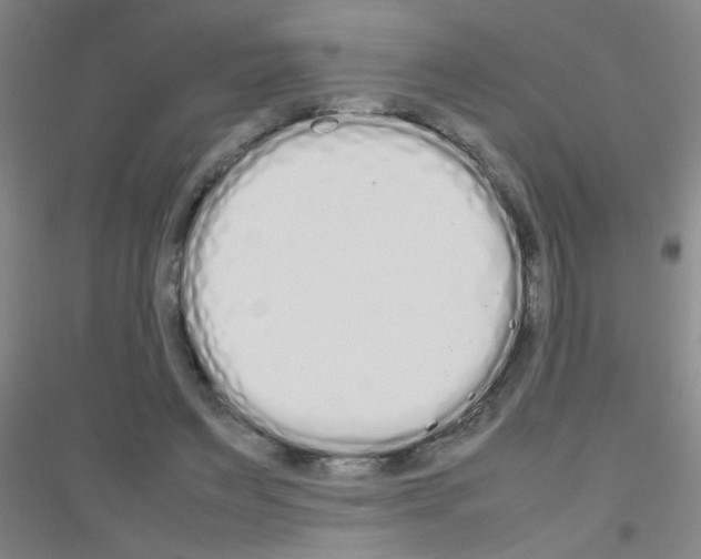 X0000116840495201001291707