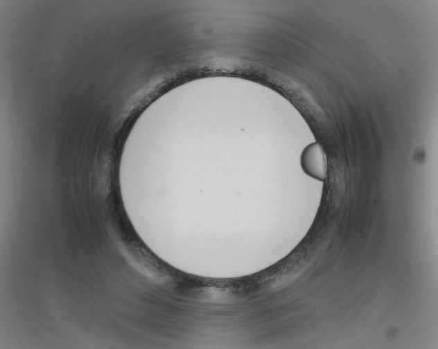 X0000116840496201001291707