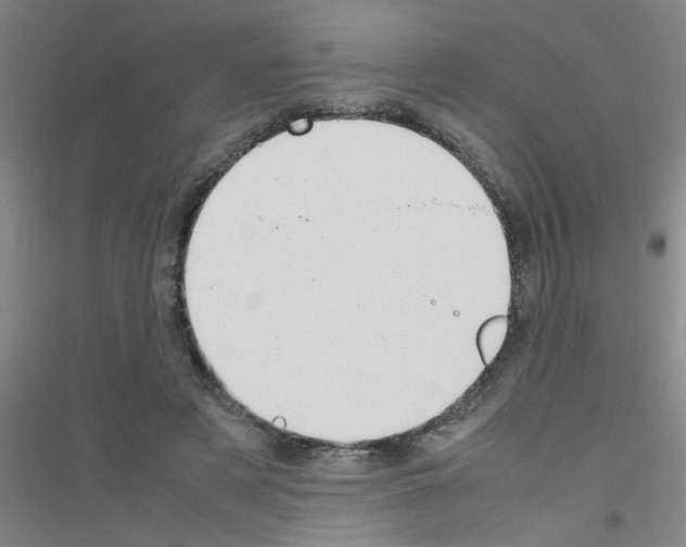 X0000116840497201001291707