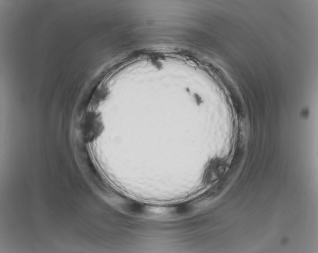 X0000116840499201001291707