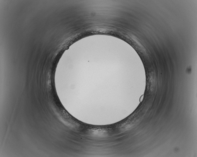 X0000116840500201001291707
