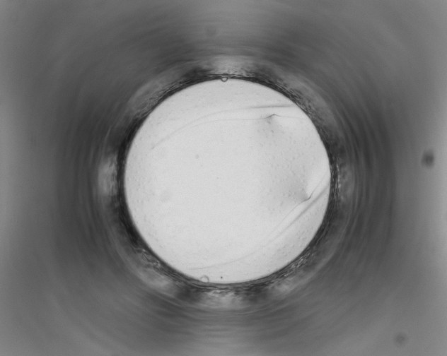 X0000116840502201001291707