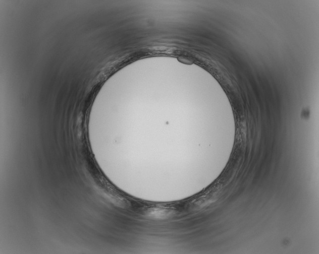 X0000116840504201001291707