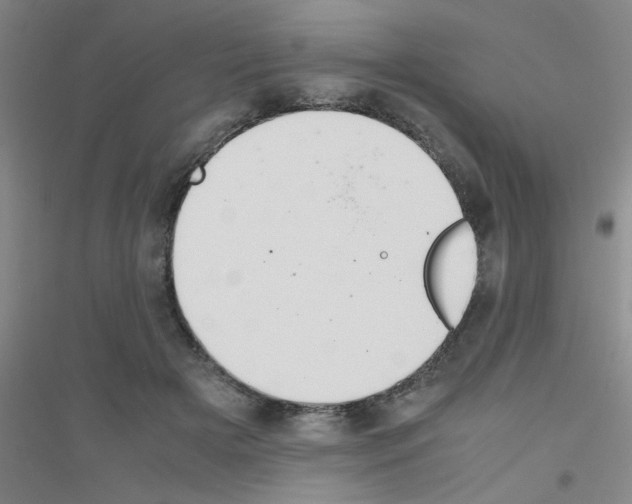 X0000116840505201001291707