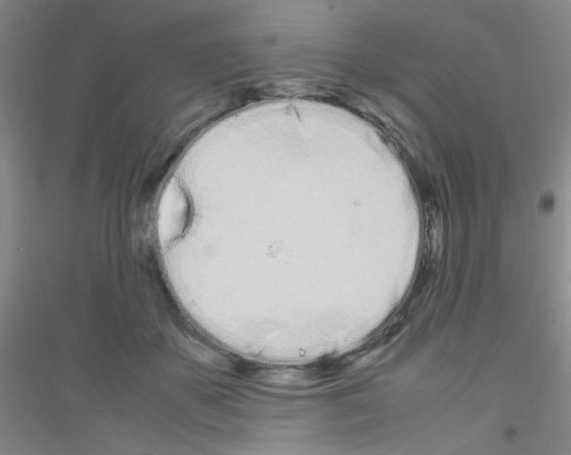 X0000116840507201001291707