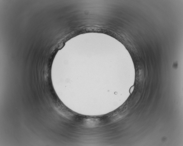 X0000116840508201001291707